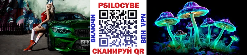 Галлюциногенные грибы Psilocybine cubensis  даркнет сайт  Кедровый 